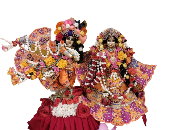 Shree Krishna Deity Darshan